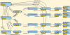 201611_TC_Propagation_Rule_04.png